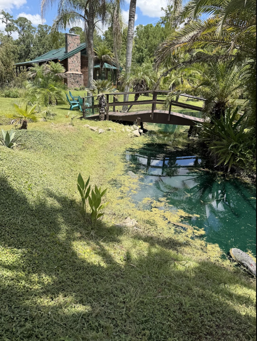 Rustic bridge over a pond with manicured grounds and a Florida-style home