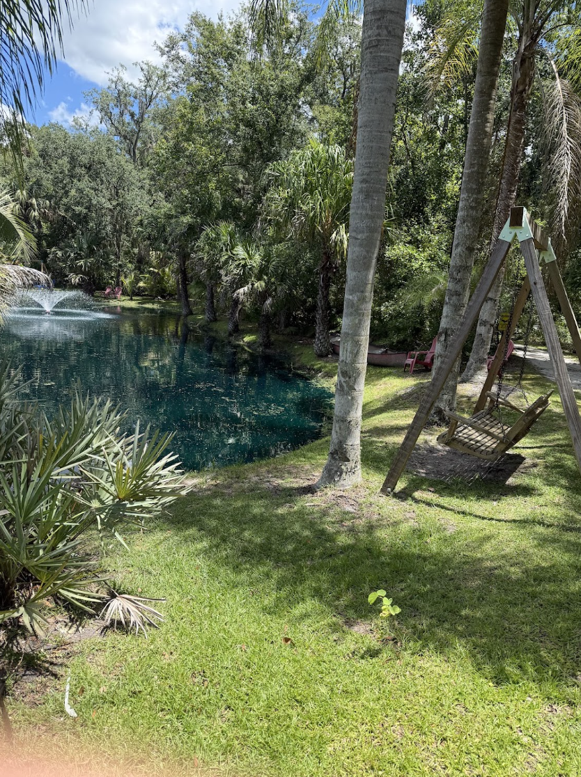 Palm trees and a wooden swing by a landscaped pond in St. Augustine