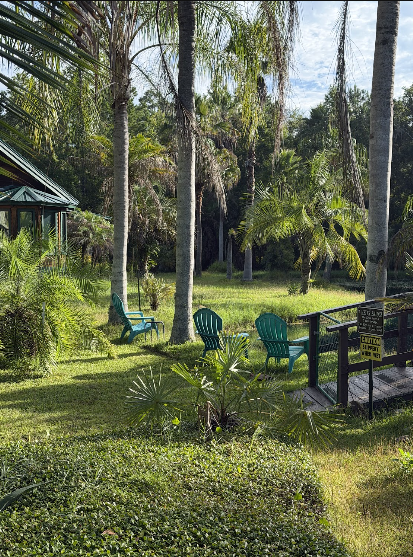Manicured lawn with palm trees and Adirondack chairs overlooking the water at the St. Augustine Botanical Garden