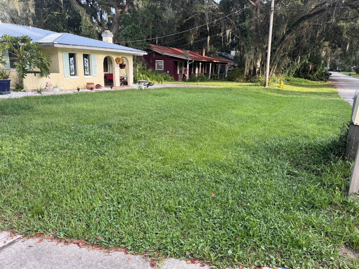 Before lawn care service in St Augustine Shores Neighborhood